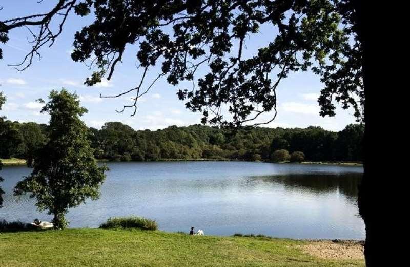 Terres De France - Le Domaine Du Moulin Neuf Hotel Rochefort-en-Terre Eksteriør billede